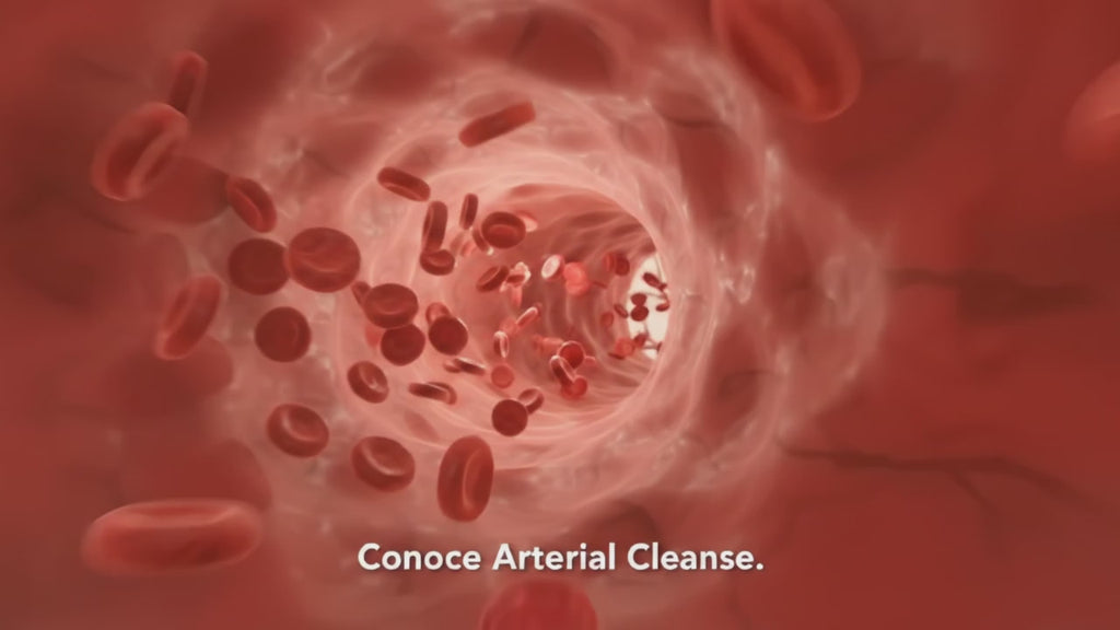 Arterial Cleanse – Suplemento dietario de 60 cápsulas